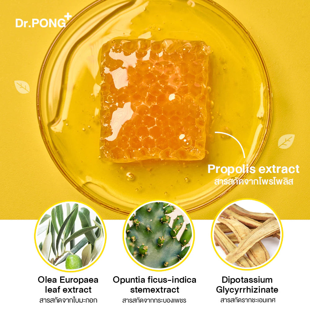 DR.PONG G.U.M.X. PROPOLIS PLUS FLUORIDE